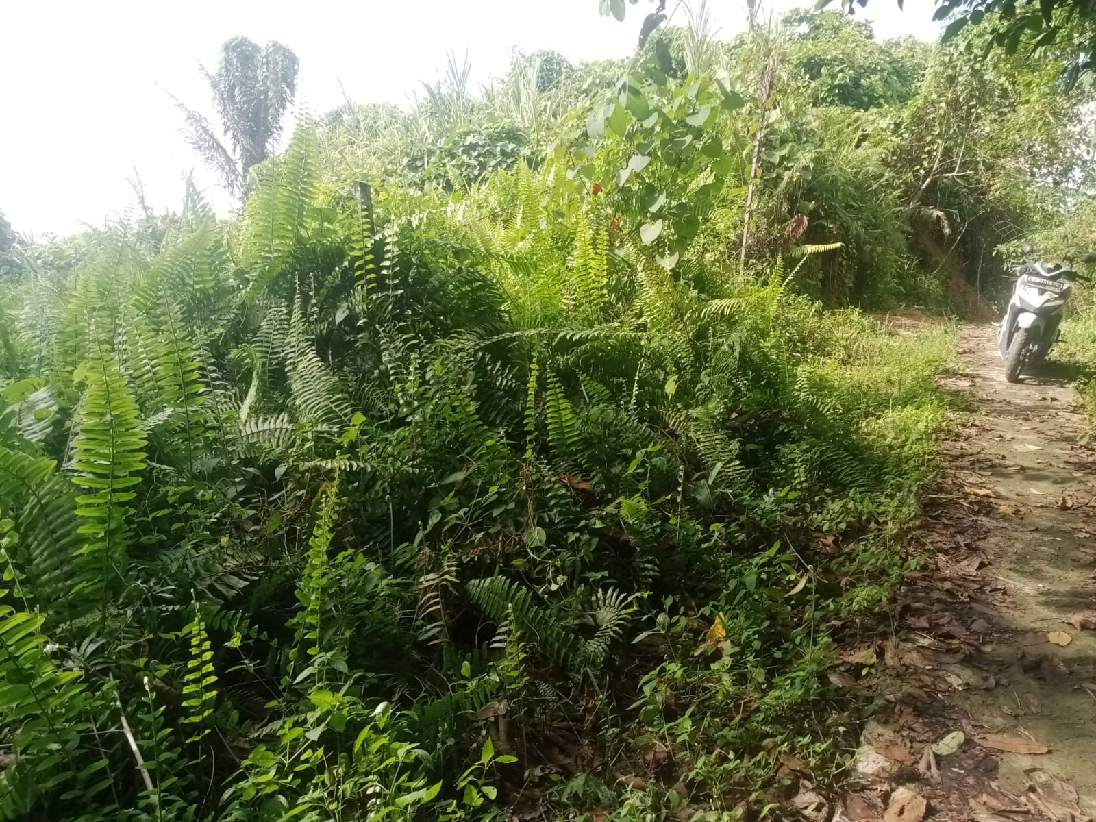 Foto Kunjungan - FOTO_KUNJUNGAN