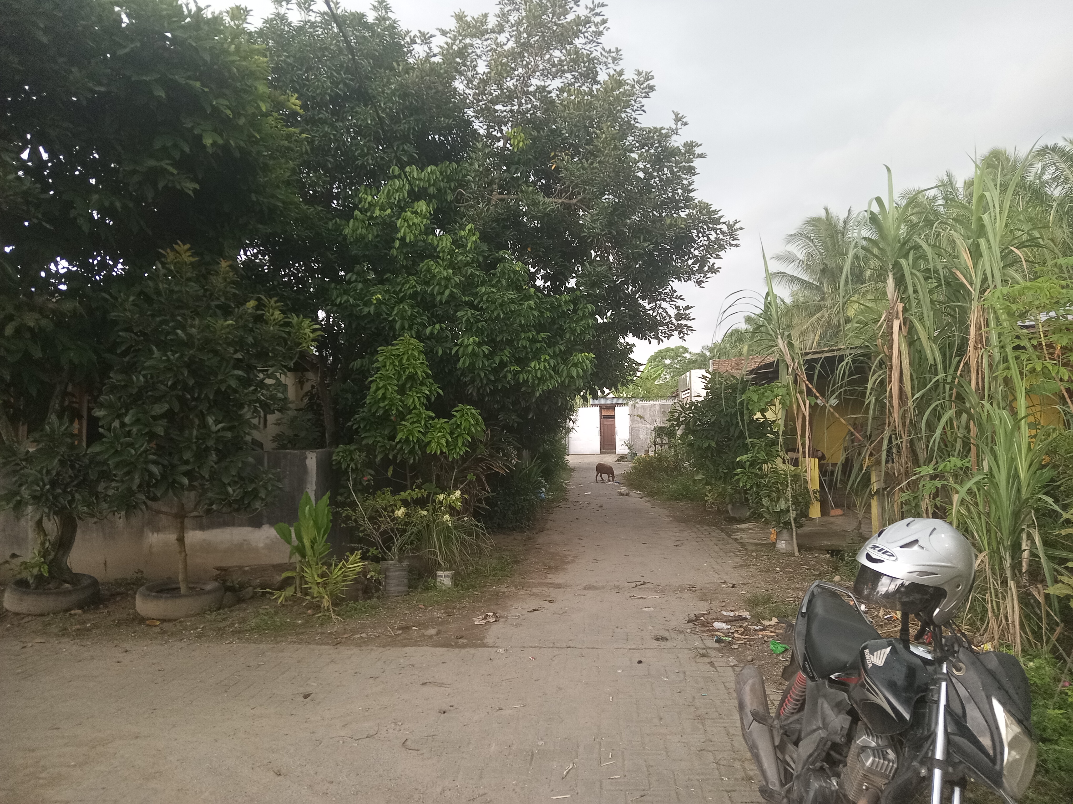 Foto Kunjungan - FOTO_KUNJUNGAN