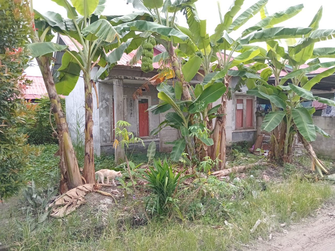 Foto Kunjungan - FOTO_KUNJUNGAN