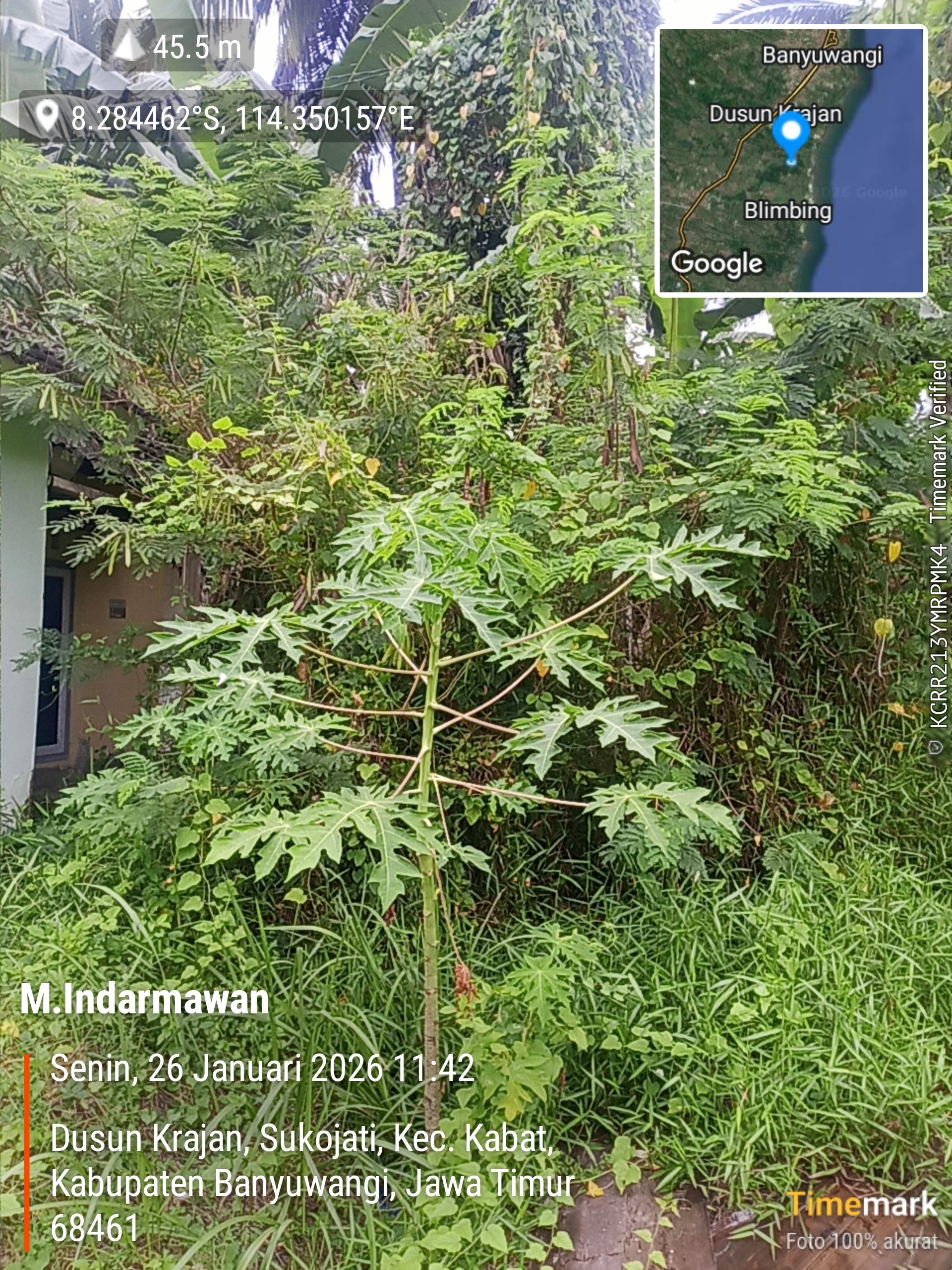 Foto Kunjungan - FOTO_AGUNAN