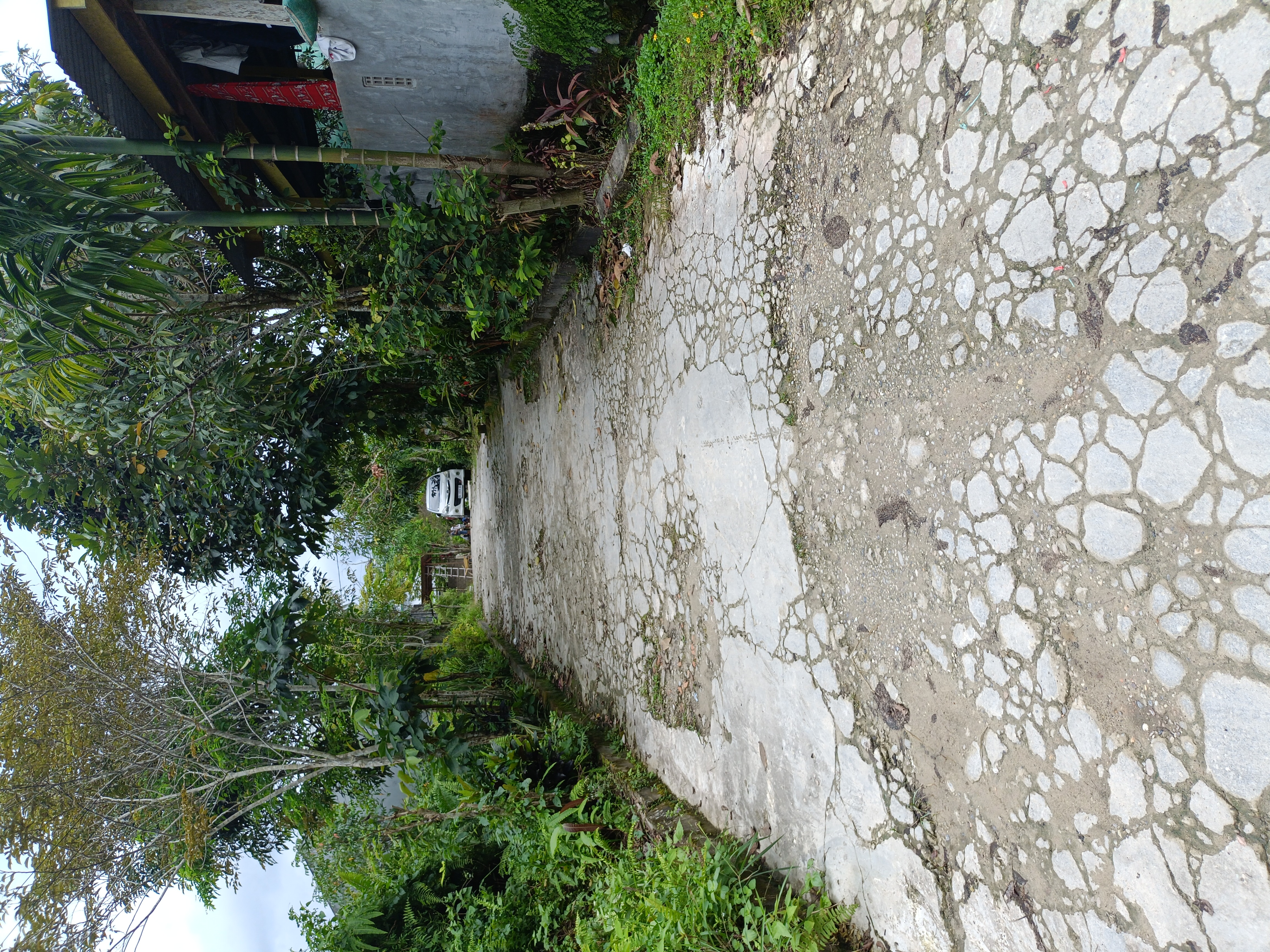 Foto Kunjungan - FOTO_JALAN