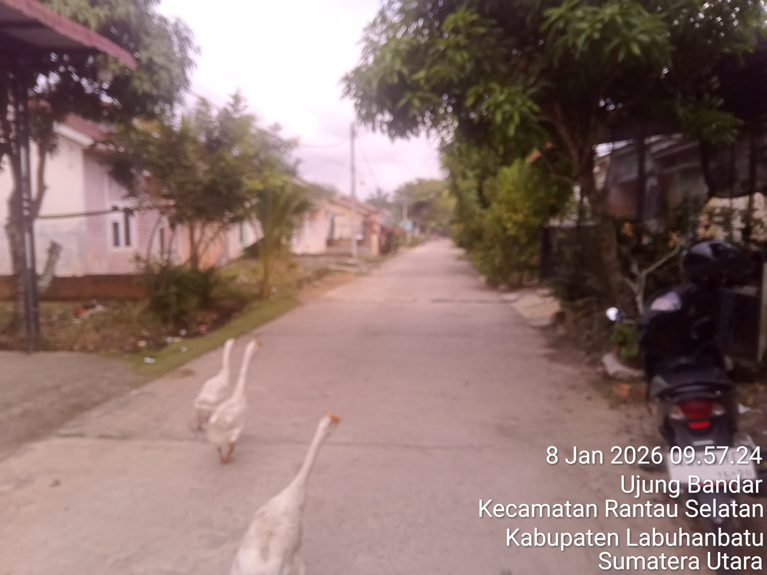 Foto Kunjungan - FOTO_JALAN