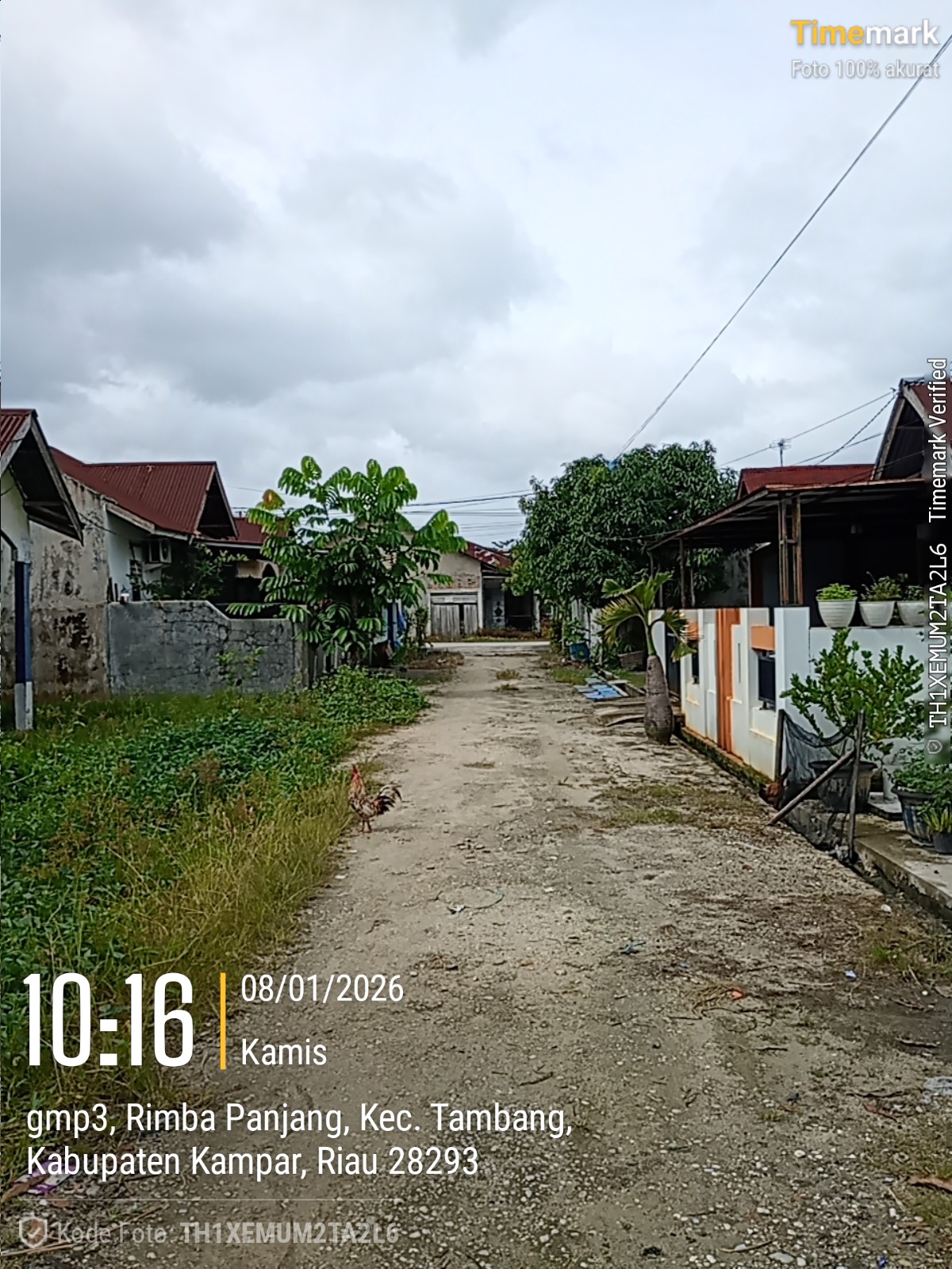 Foto Kunjungan - FOTO_JALAN