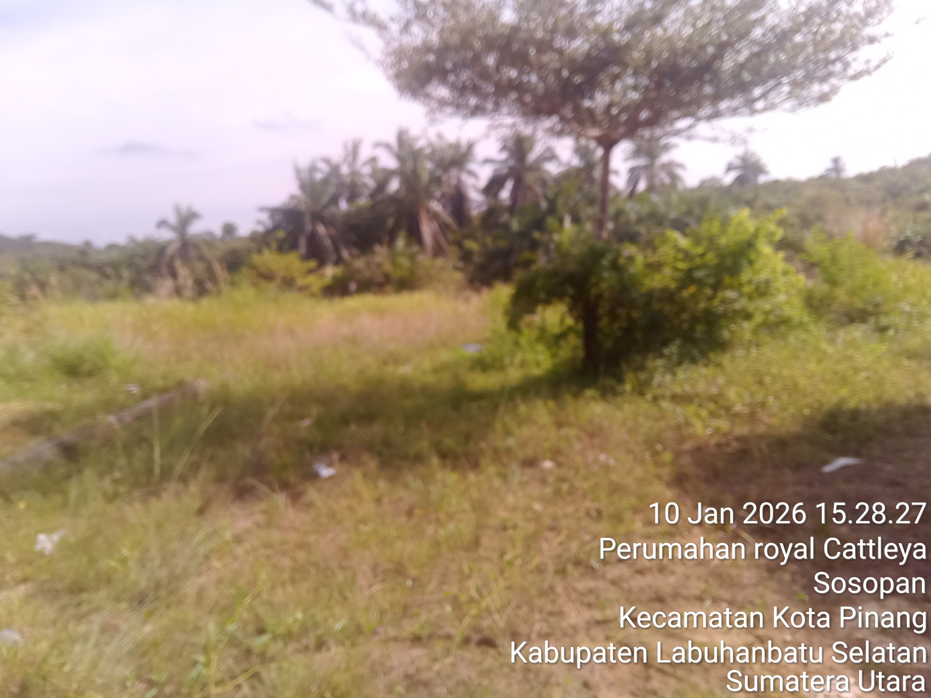 Foto Kunjungan - FOTO_JALAN