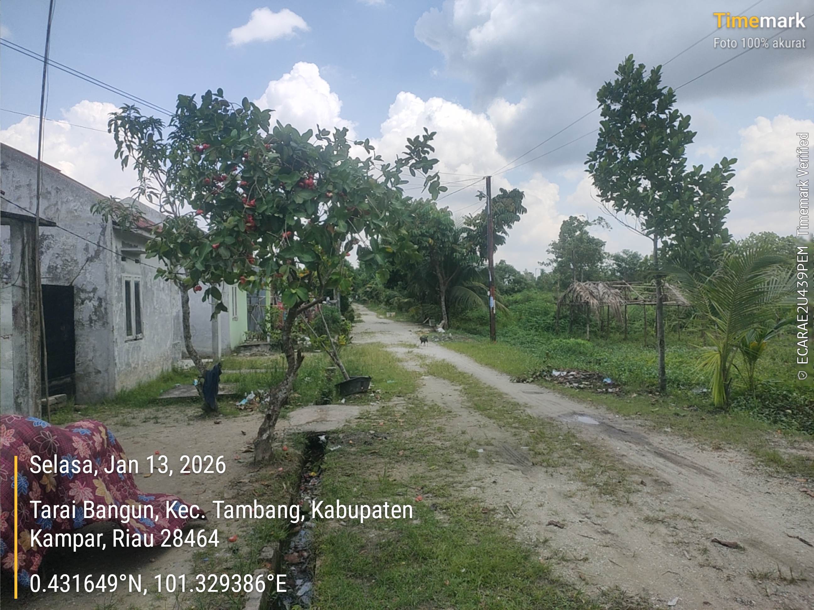 Foto Kunjungan - FOTO_JALAN