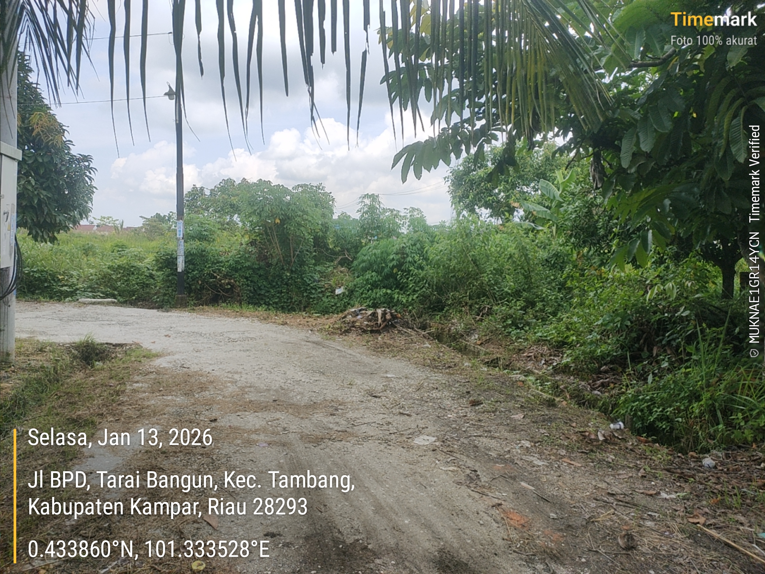 Foto Kunjungan - FOTO_JALAN