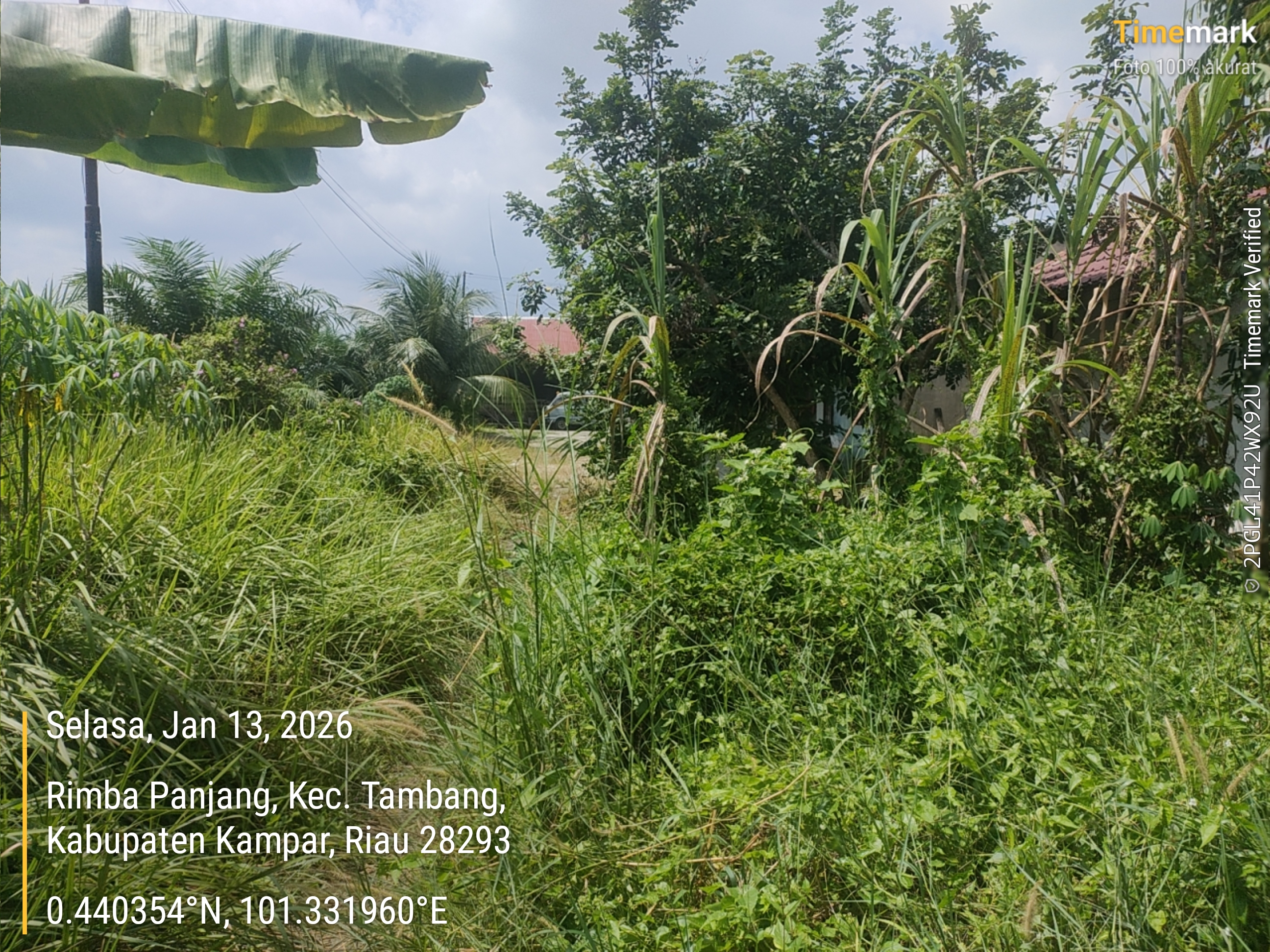 Foto Kunjungan - FOTO_JALAN