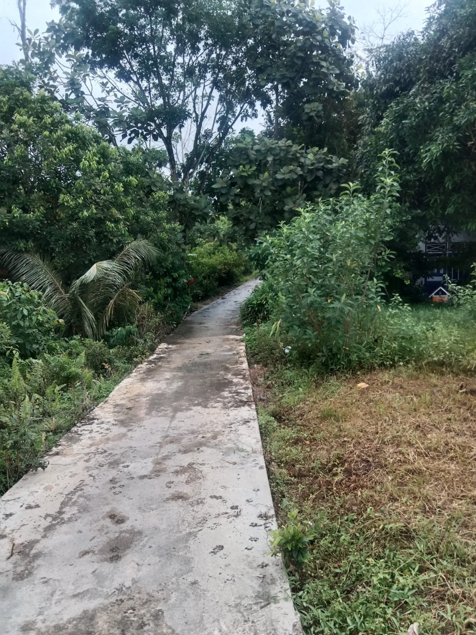 Foto Kunjungan - FOTO_JALAN