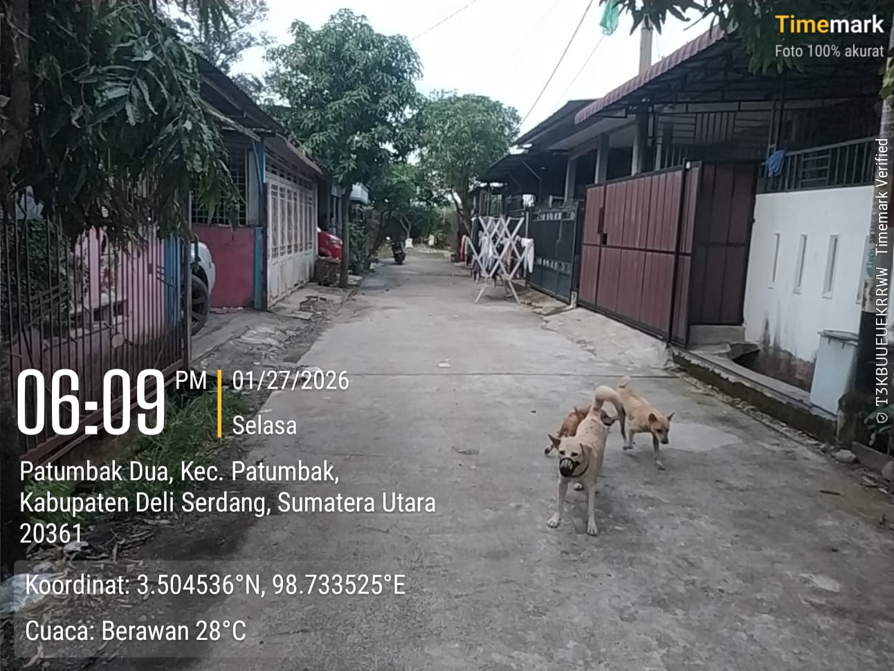 Foto Kunjungan - FOTO_JALAN